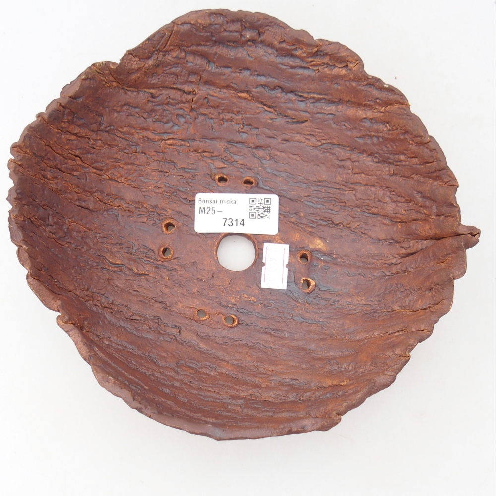 Conchiglia in ceramica 19 x 19 x 6,5 cm , colore marrone