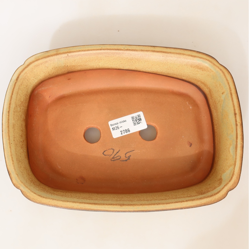 Ciotola in ceramica  24 x 17 x 6 cm, colore verde-beige