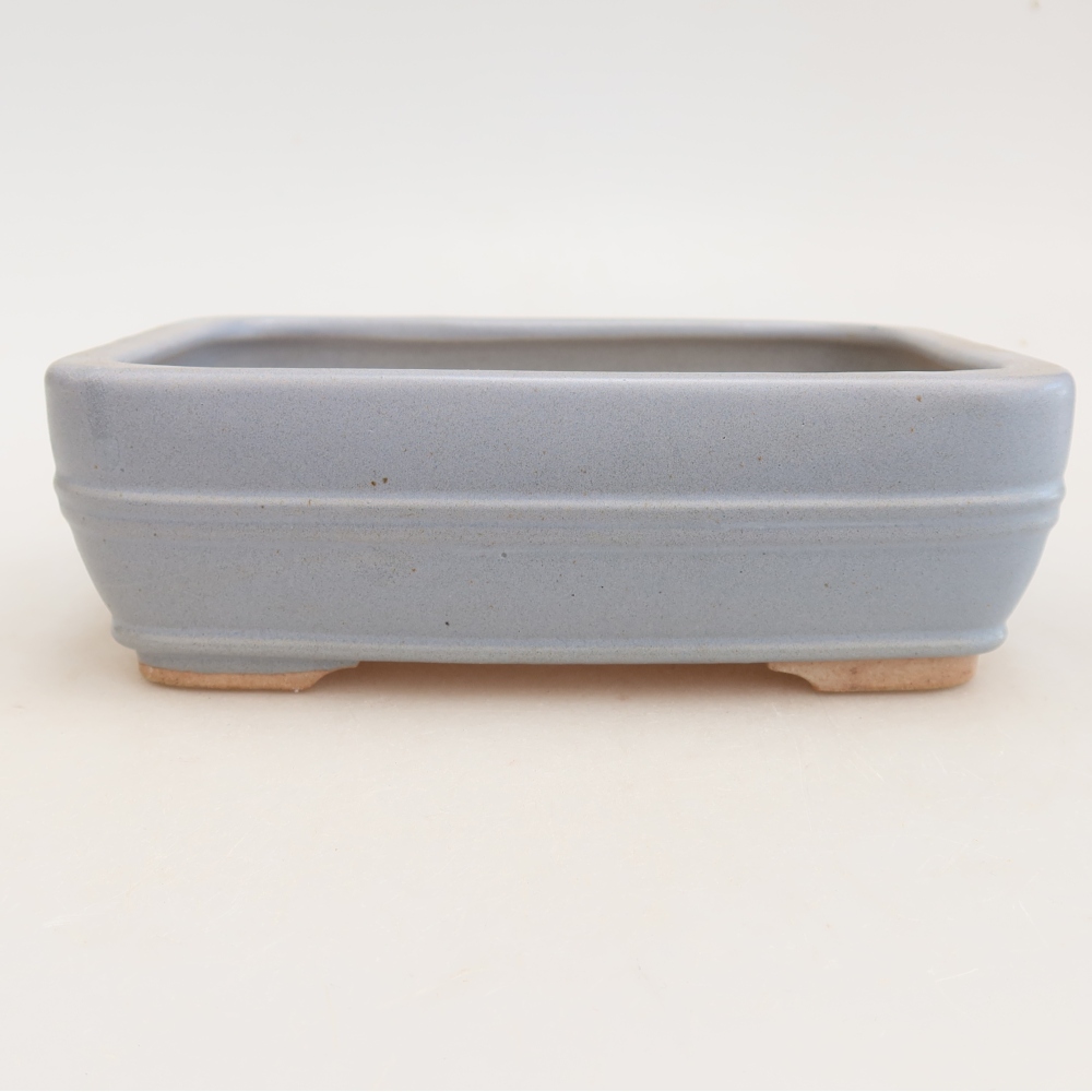 Vaso da bonsai in ceramica 17 x 12,5 x 5,5 cm, colore blu