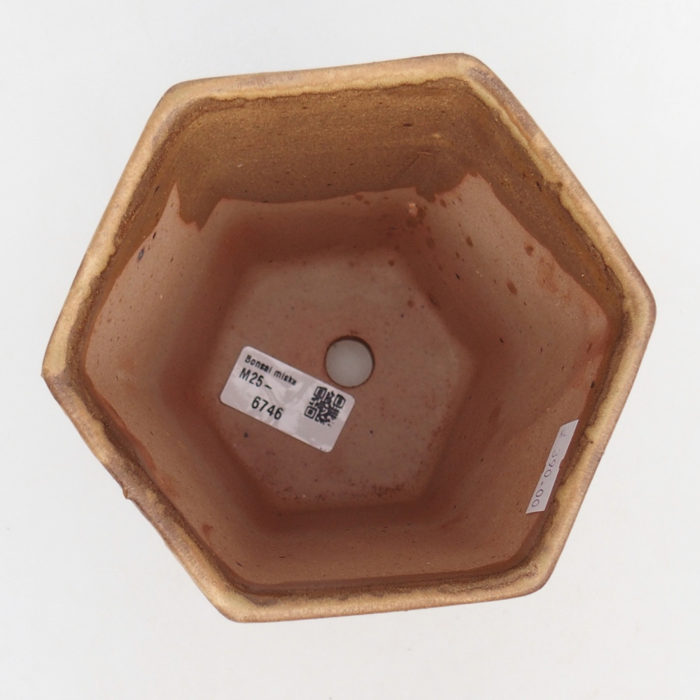 Ciotola per bonsai in ceramica 12,5 x 11,5 x 16,5 cm, marrone