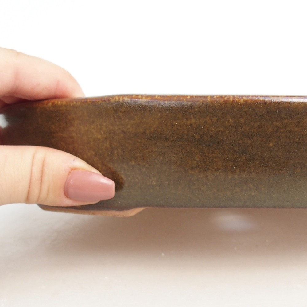 Ciotola per bonsai in ceramica 22 x 17 x 4 cm, marrone