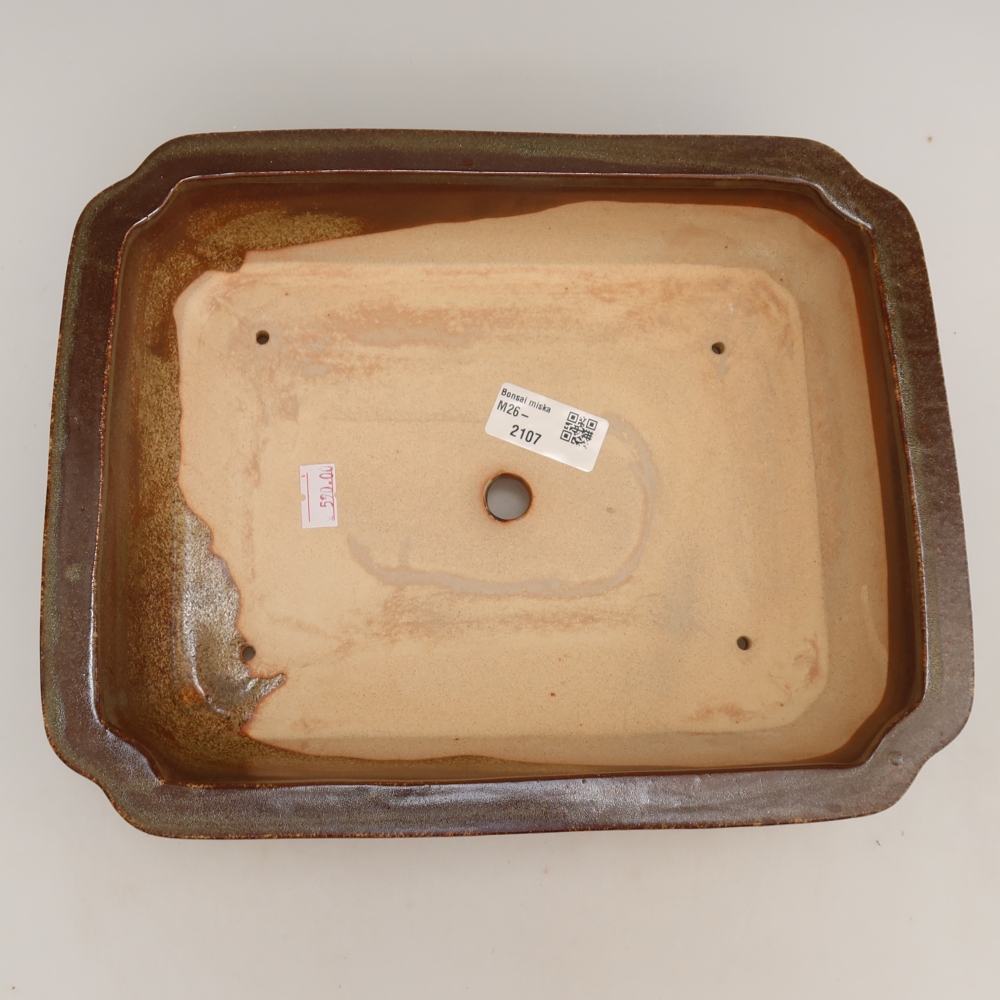 Vaso da bonsai in ceramica 27,5 x 21,5 x 7 cm, colore marrone