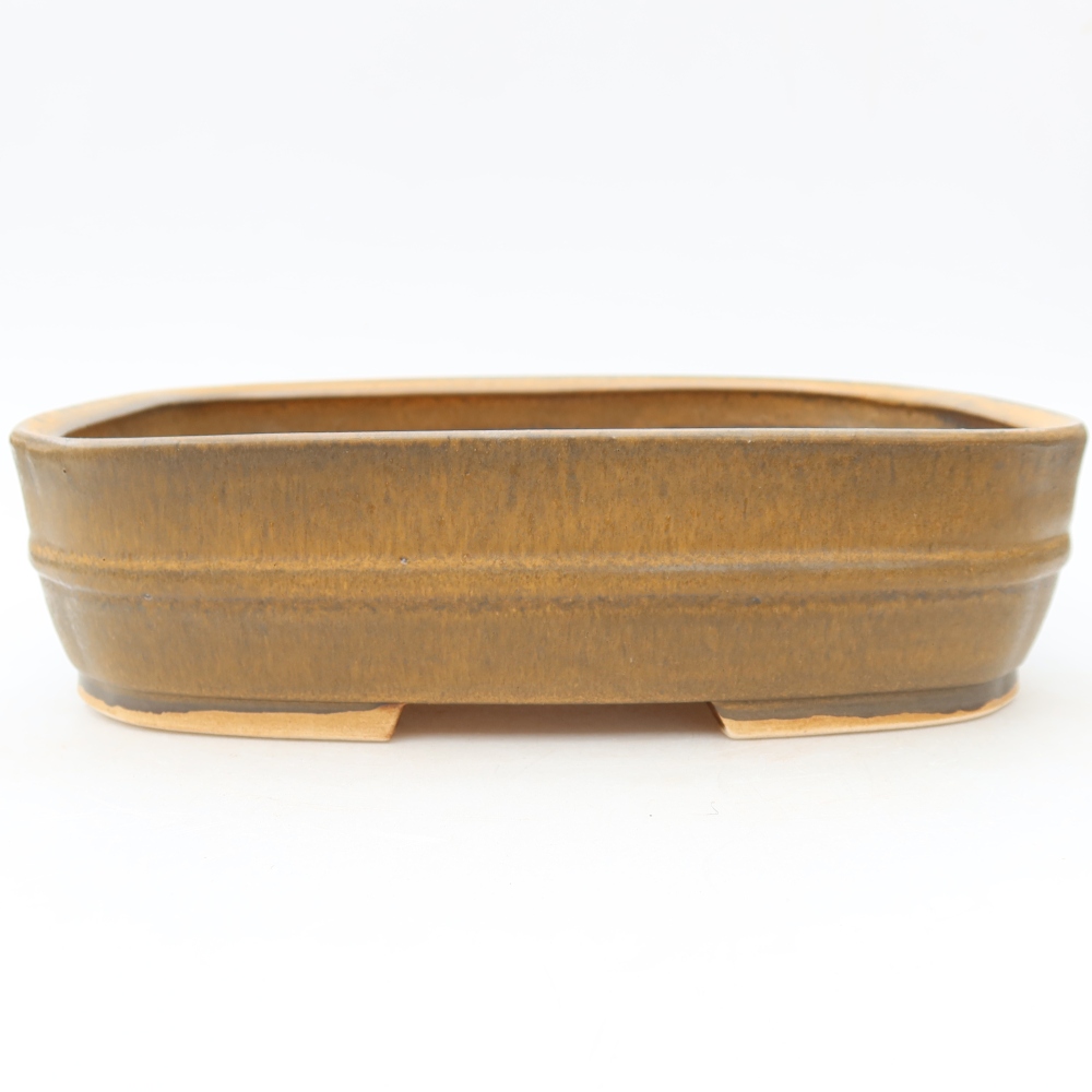 Vaso da bonsai in ceramica 24,5 x 20,5 x 6,5 cm, colore marrone