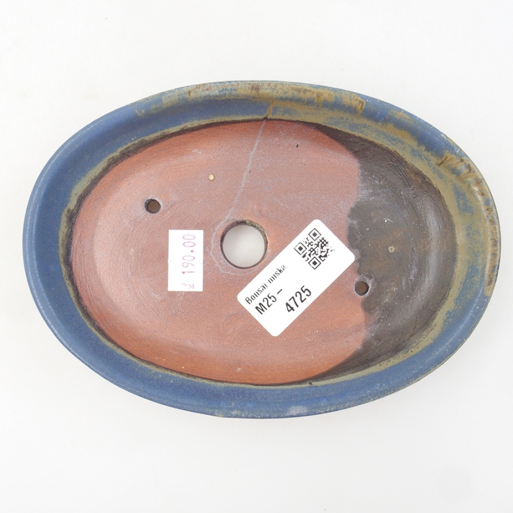 Ciotola per bonsai in ceramica 15,5 x 11 x 3 cm, colore blu