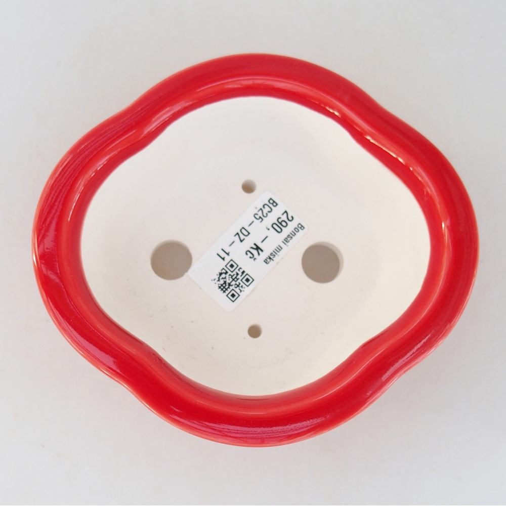 Ciotola per bonsai in ceramica 13 x 12 x 5 cm, colore rosso