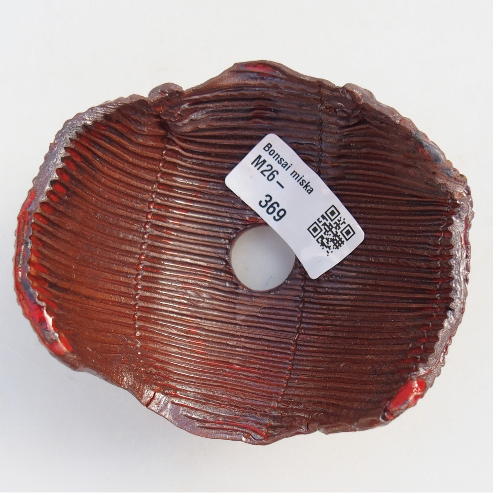 Conchiglia in ceramica 10 x 10 x 6 cm , colore marrone