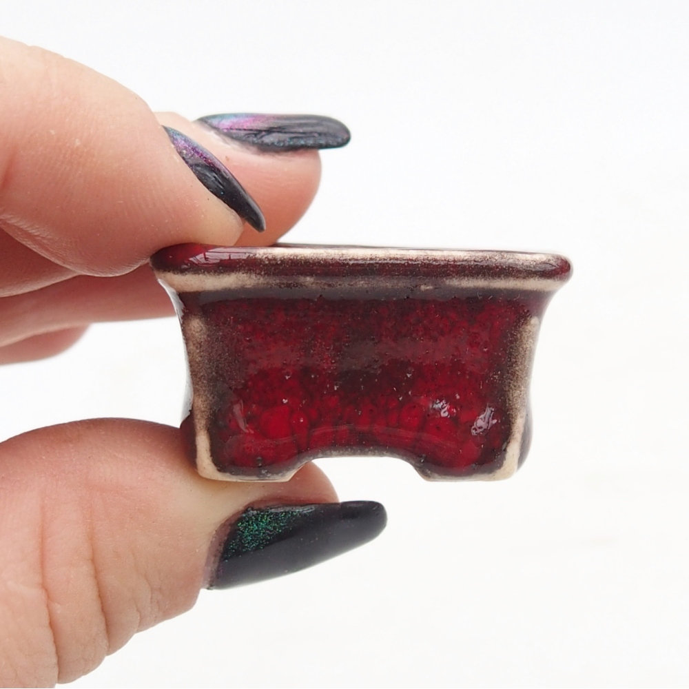 Mini bonsai 3 x 2,5 x 2 cm, colore rosso