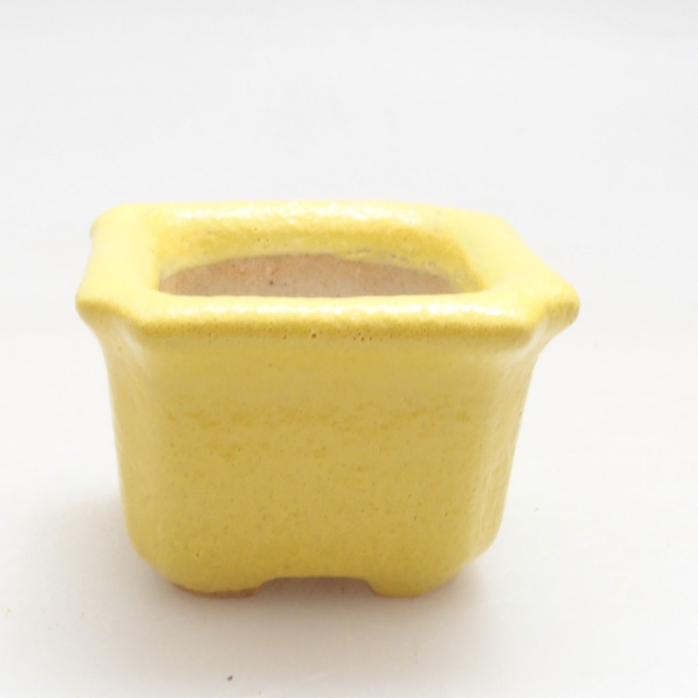 Ciotola bonsai in ceramica 3 x 3 x 2 cm, giallo