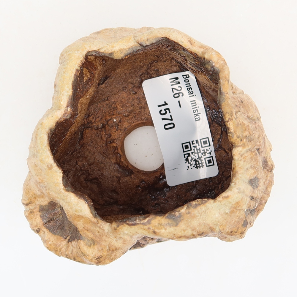 Guscio in ceramica  5,5 x 5,5 x 6 cm , colore marrone