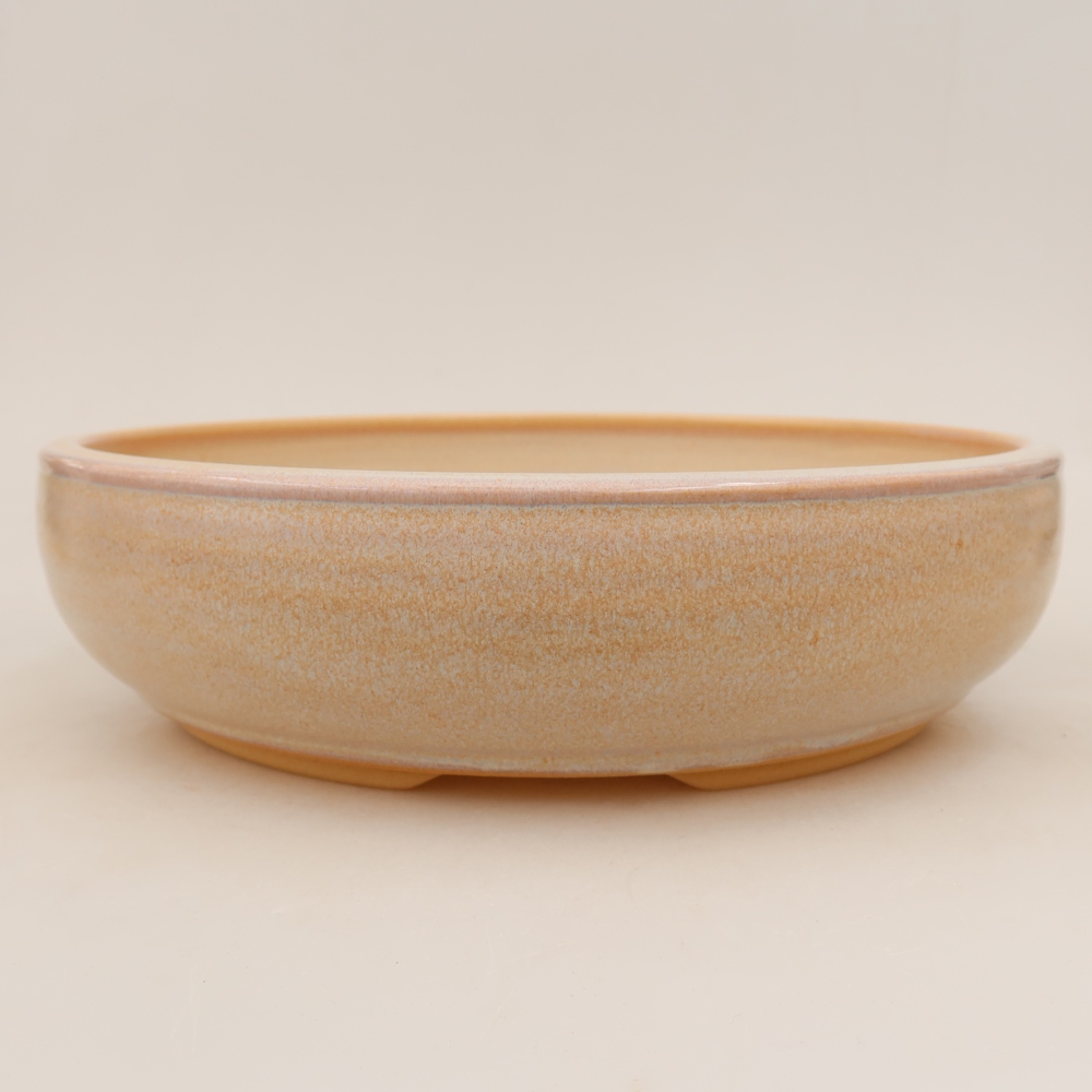 Vaso in ceramica per bonsai 27 x 27 x 6,5 cm, colore beige