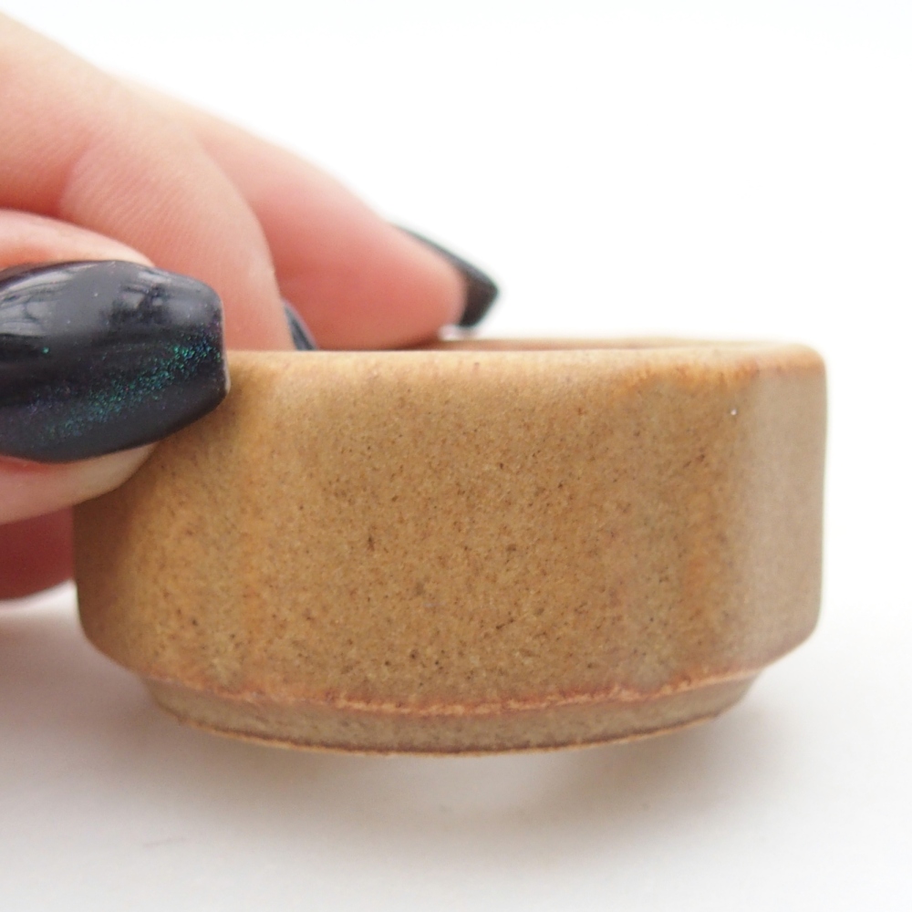 Mini bonsai 4,5 x 4,5 x 2,5 cm, marrone