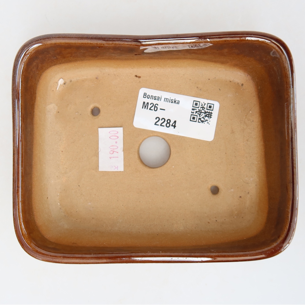Vaso da bonsai in ceramica 12,5 x 9,5 x 4 cm, colore marrone