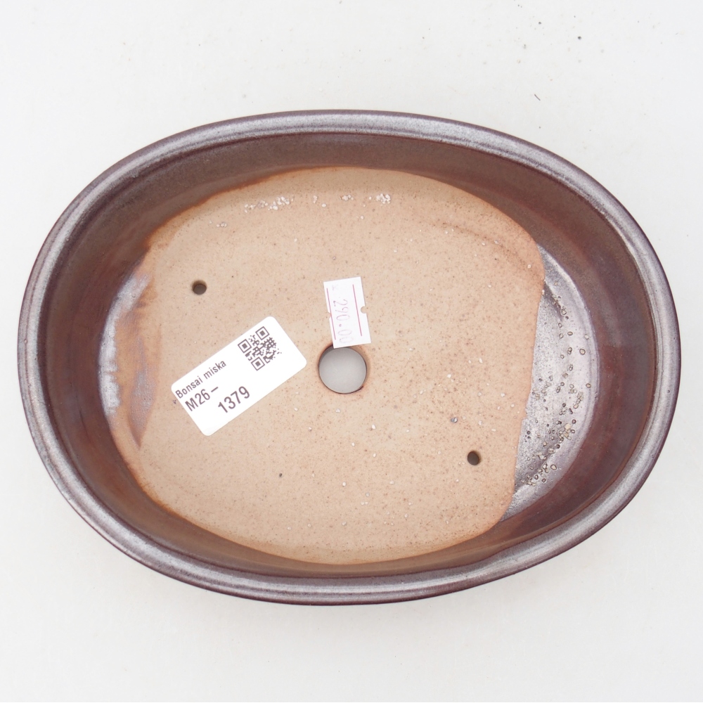 Ciotola per bonsai in ceramica 19 x 14,5 x 4,5 cm, marrone