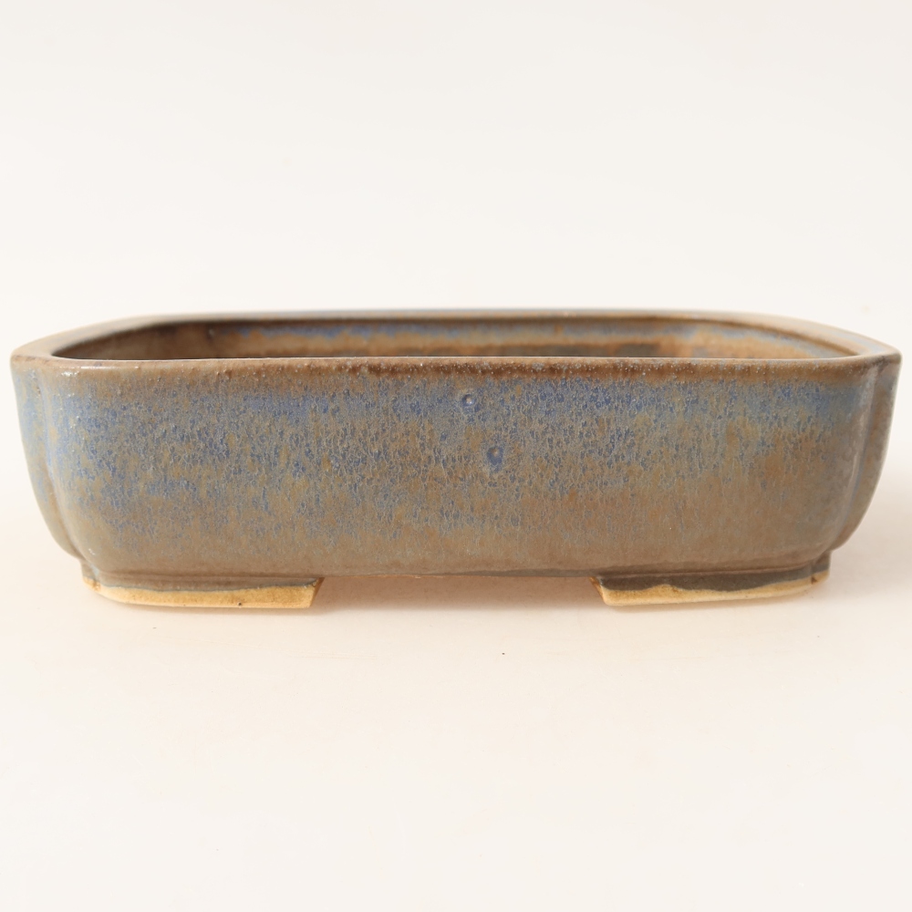 Vaso in ceramica per bonsai 18 x 14 x 4,5 cm, colore blu