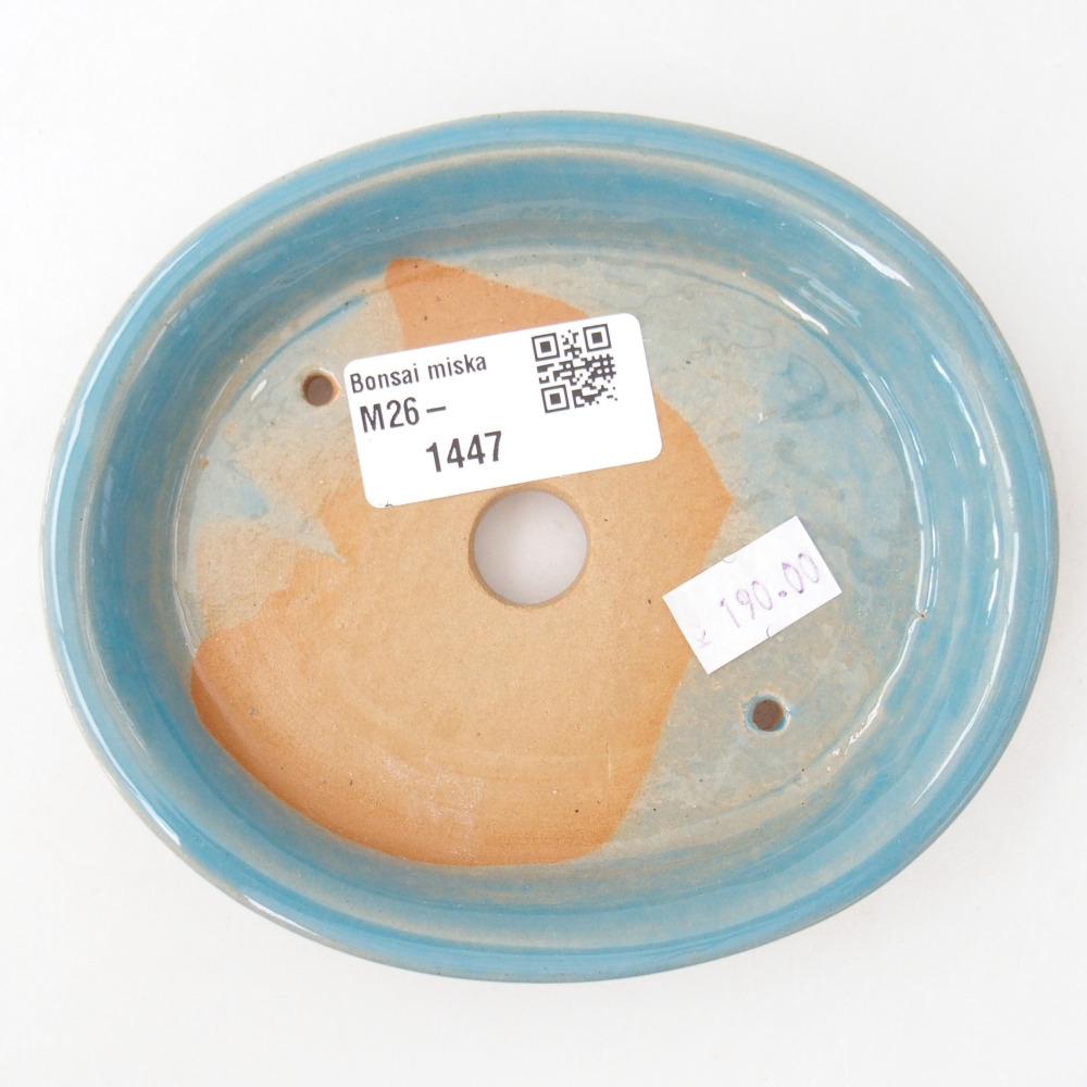 Ciotola per bonsai in ceramica 12,5 x 10,5 x 2 cm, colore blu