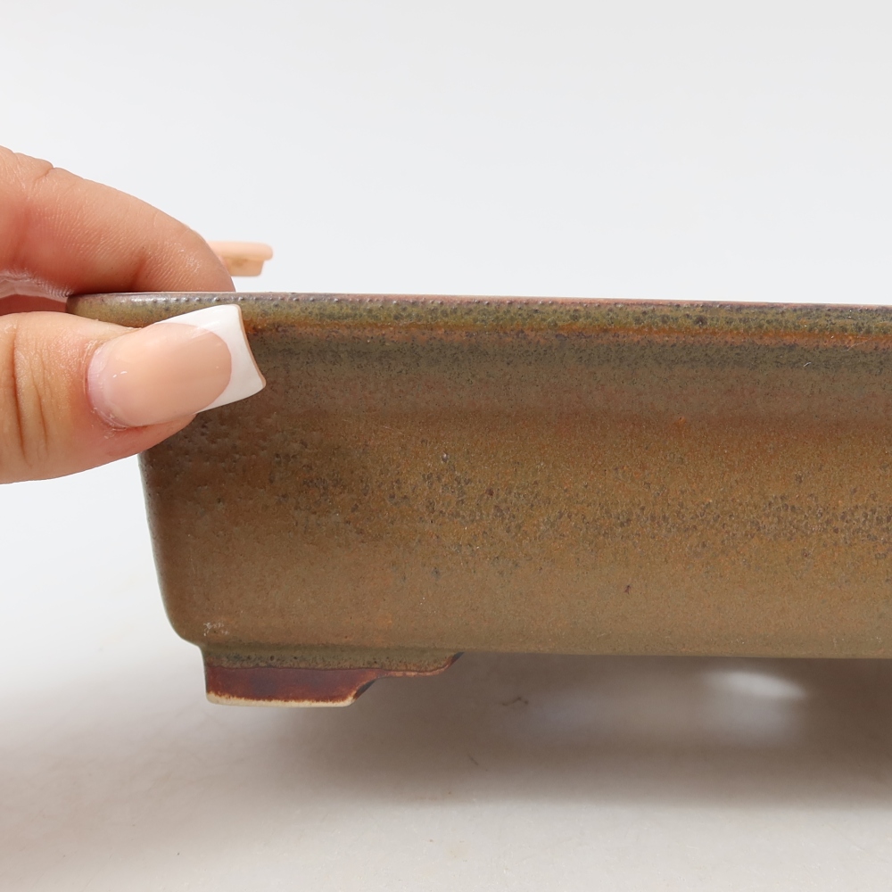 Ciotola per bonsai in ceramica 17,5 x 14,5 x 5,5 cm, marrone