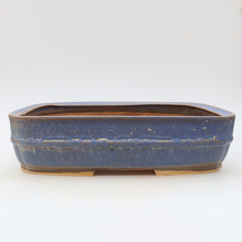 Vaso in ceramica per bonsai 29,5 x 23 x 7 cm, colore blu