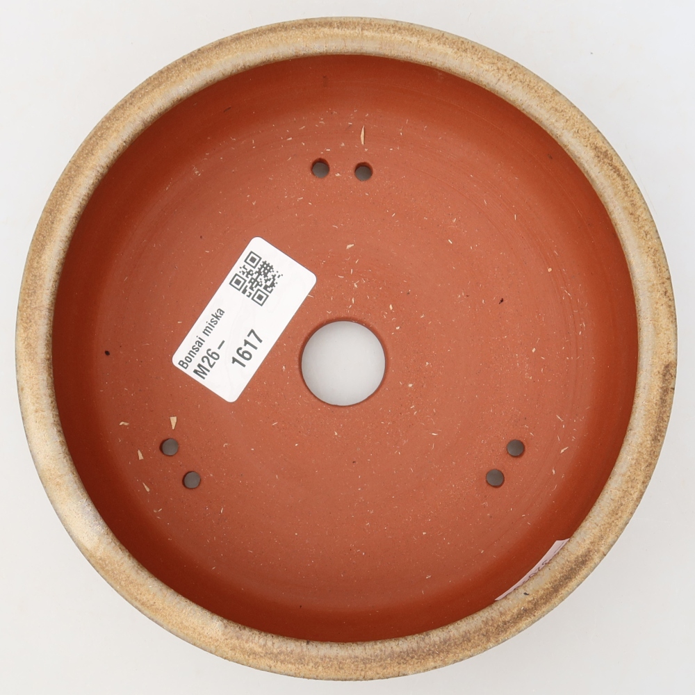 Vaso da bonsai in ceramica 15,5 x 15,5 x 4,5 cm, colore marrone