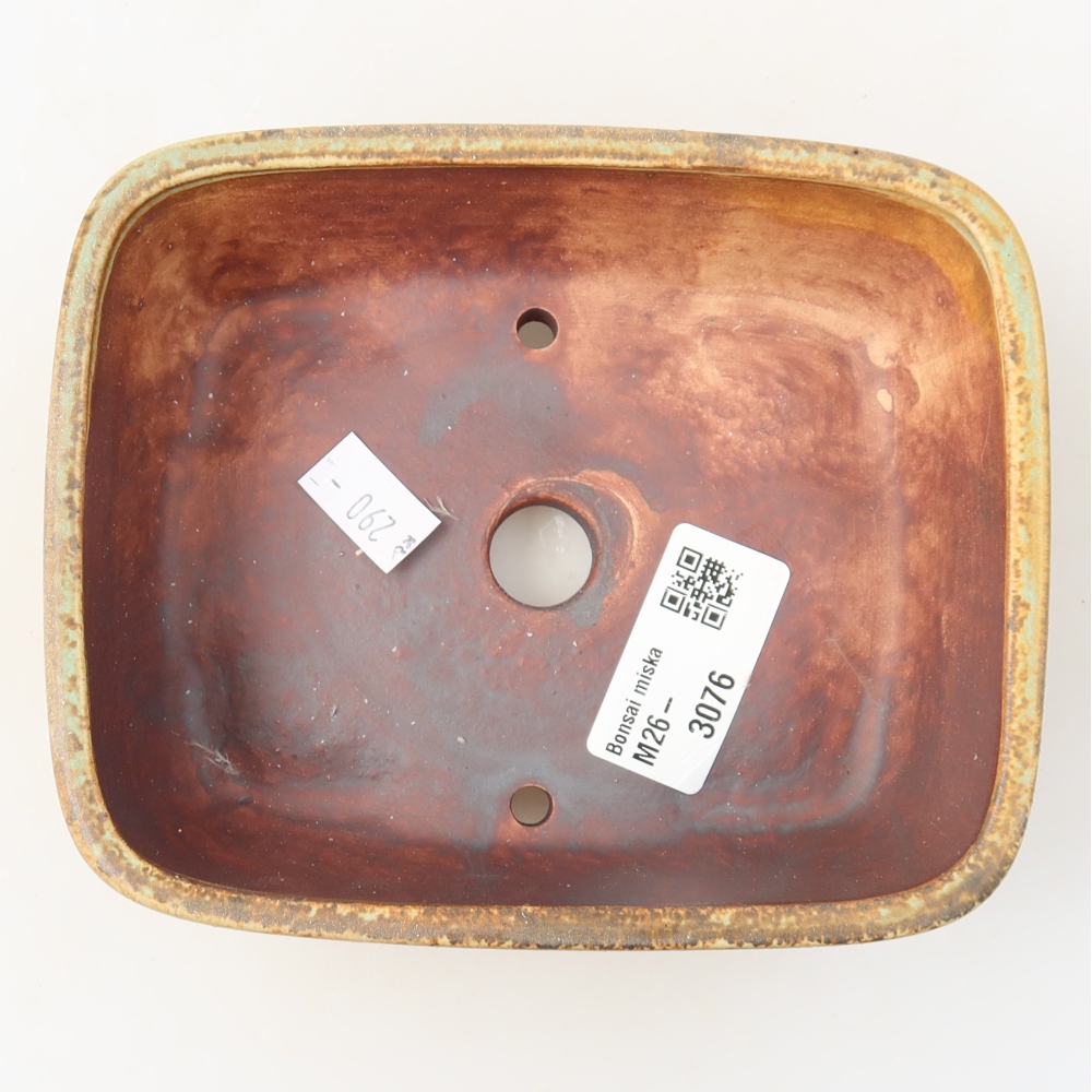 Vaso in ceramica per bonsai 14 x 11,5 x 4,5 cm, colore verde