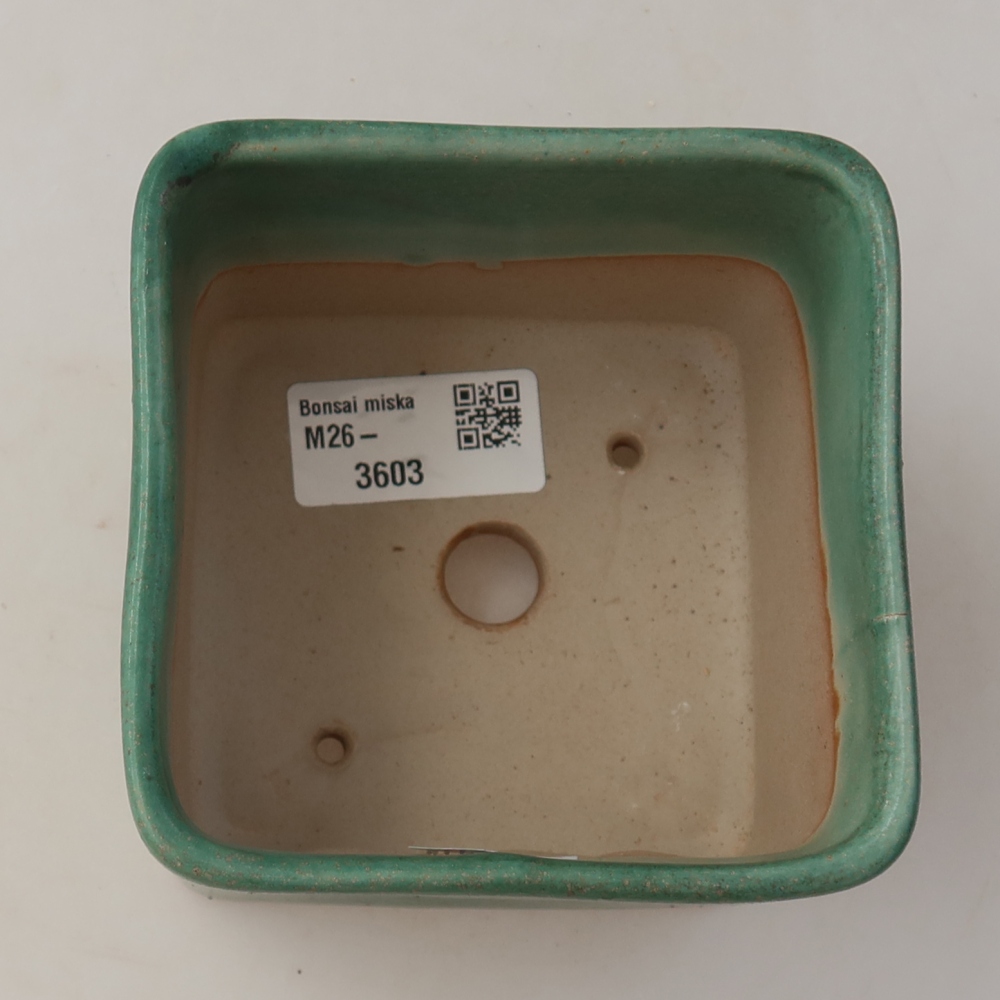 Ciotola per bonsai in ceramica 10 x 10 x 8 cm, verde