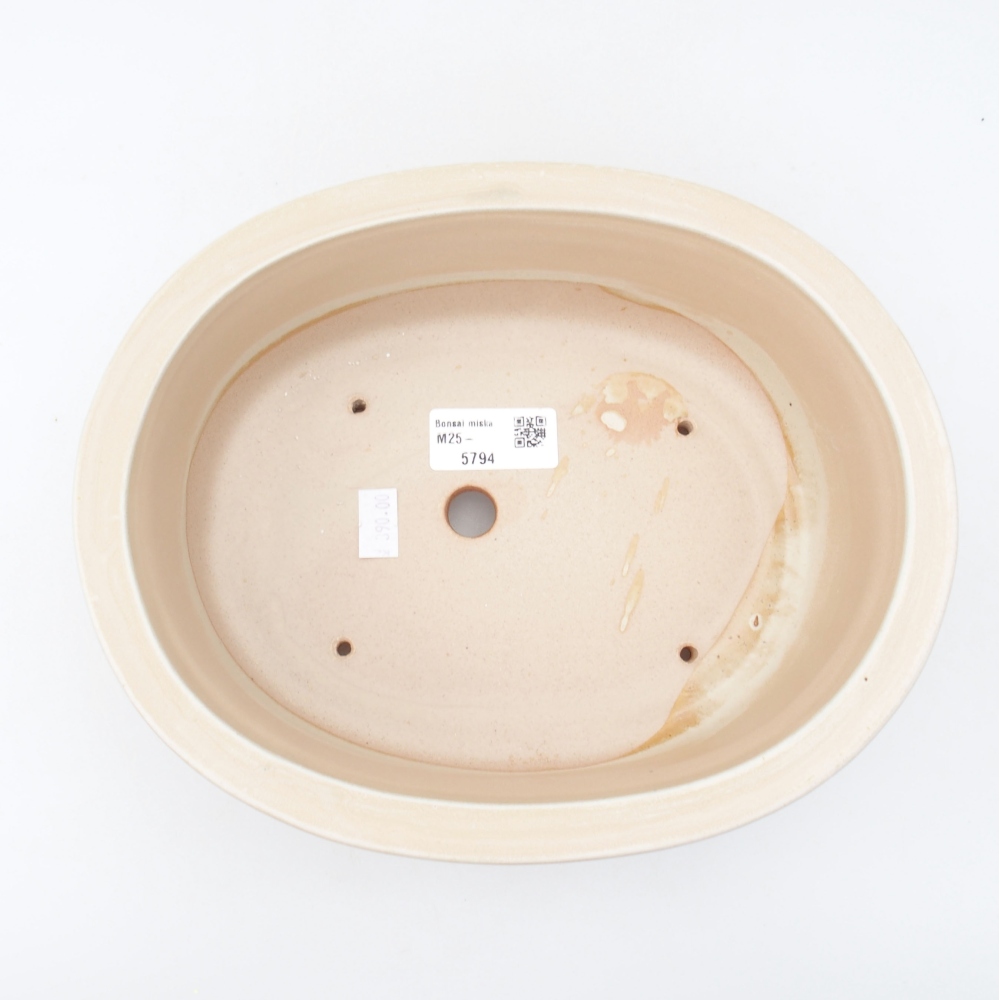 Ciotola bonsai in ceramica 23 x 19,5 x 7 cm, colore beige