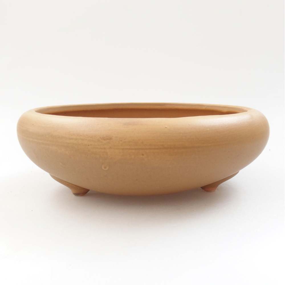 Ciotola bonsai in ceramica 21 x 21 x 7,5 cm, colore beige