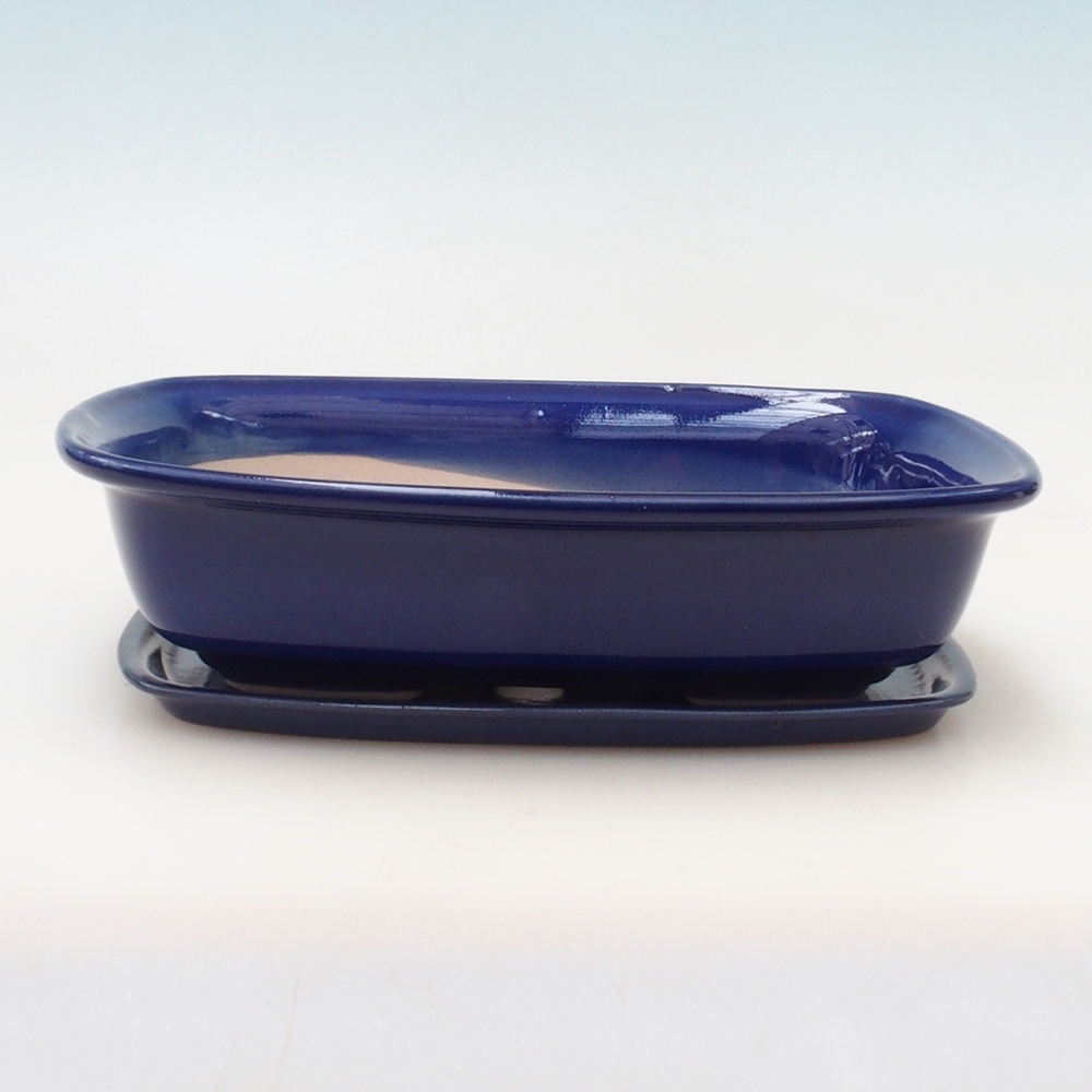 Ciotola bonsai + piattino H08 - 25 x 19,5 x 6 cm - blu