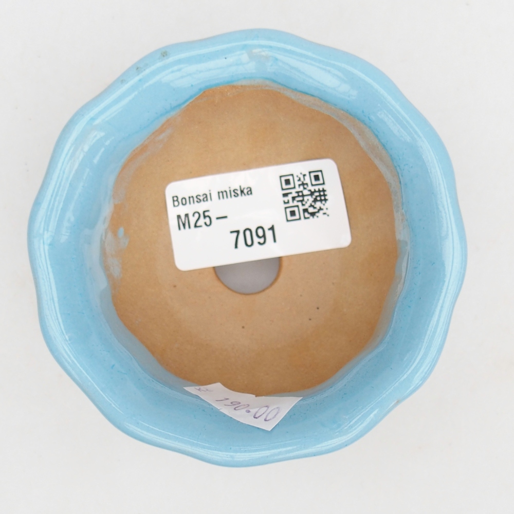 Ciotola bonsai in ceramica 26 x 26 x 8 cm, colore rosso