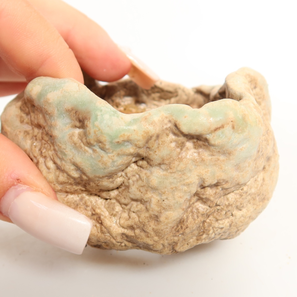 Guscio in ceramica  8 x 7 x 5,5 cm, colore verde