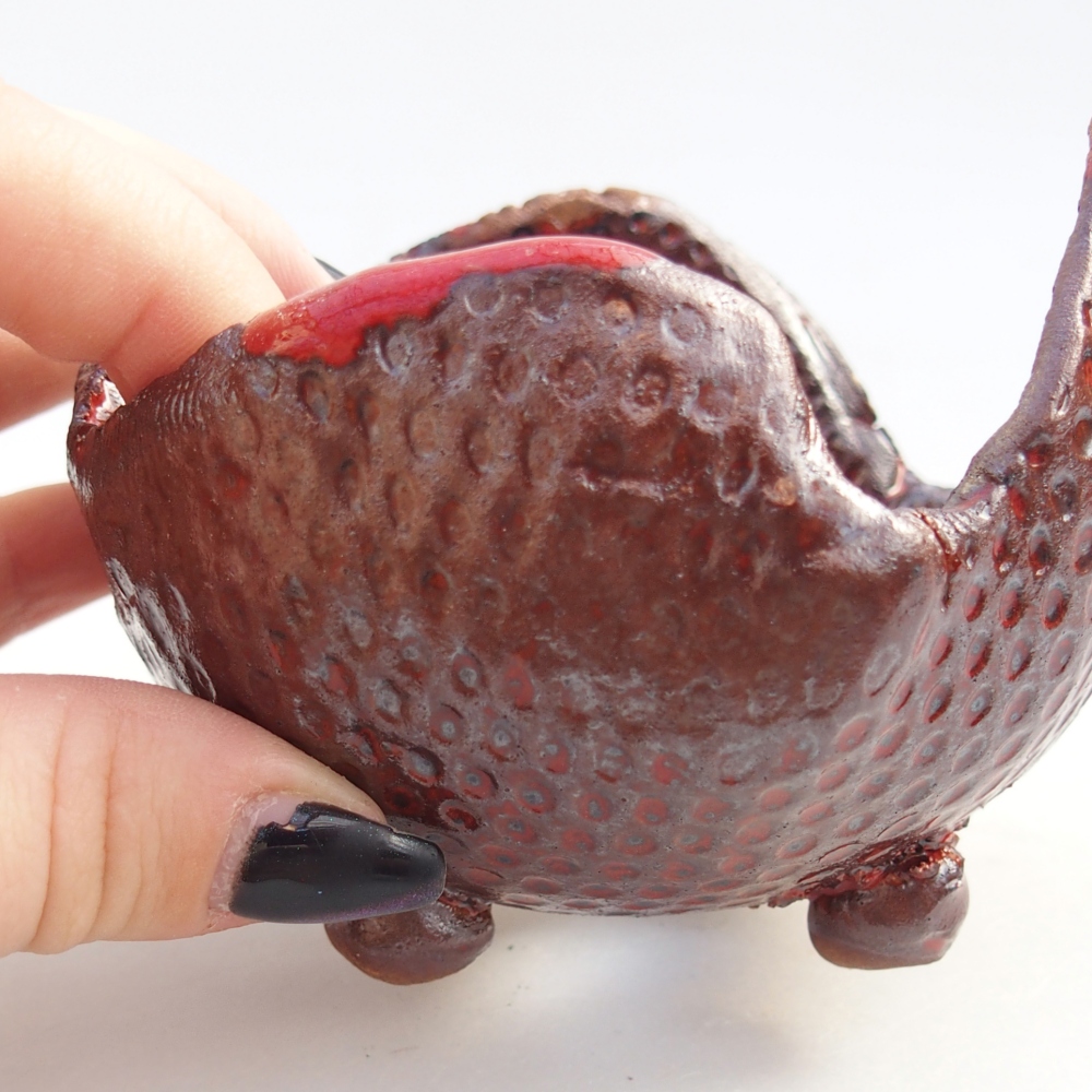 Conchiglia in ceramica 9,5 x 9 x 7,5 cm , colore marrone