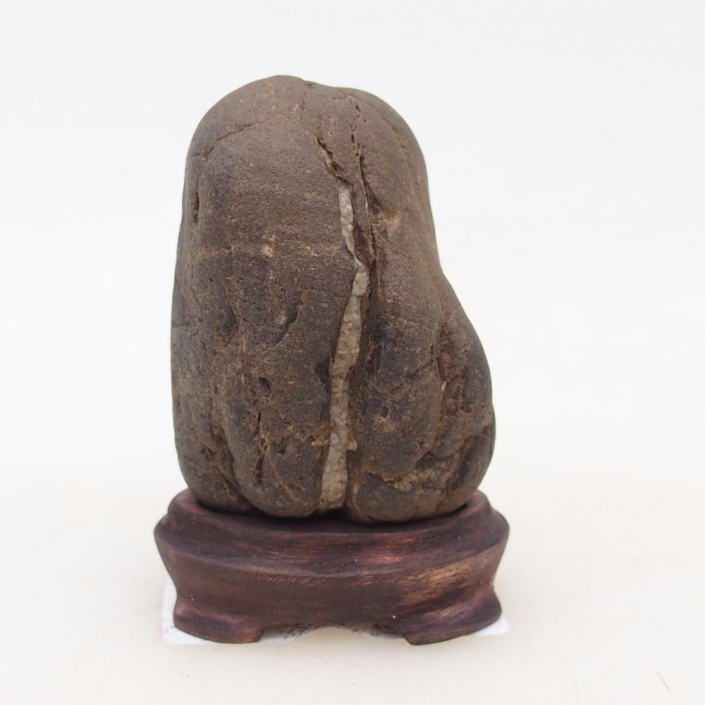 Suiseki - Pietra con DAI (base in legno)