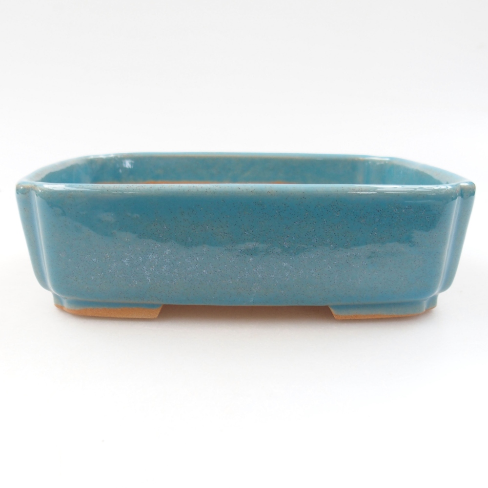 Ciotola bonsai in ceramica 22 x 17 x 5 cm, verde