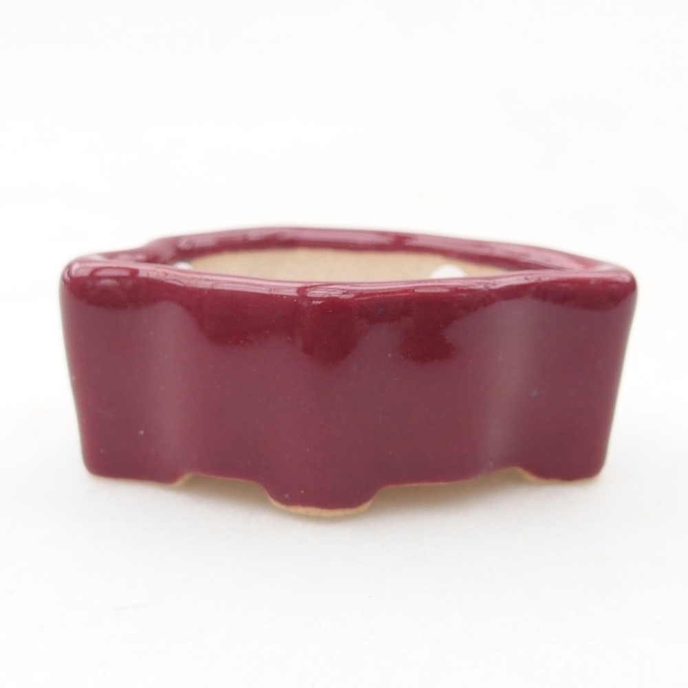 Ciotola per mini bonsai 5 x 3 x 2 cm, bordeaux