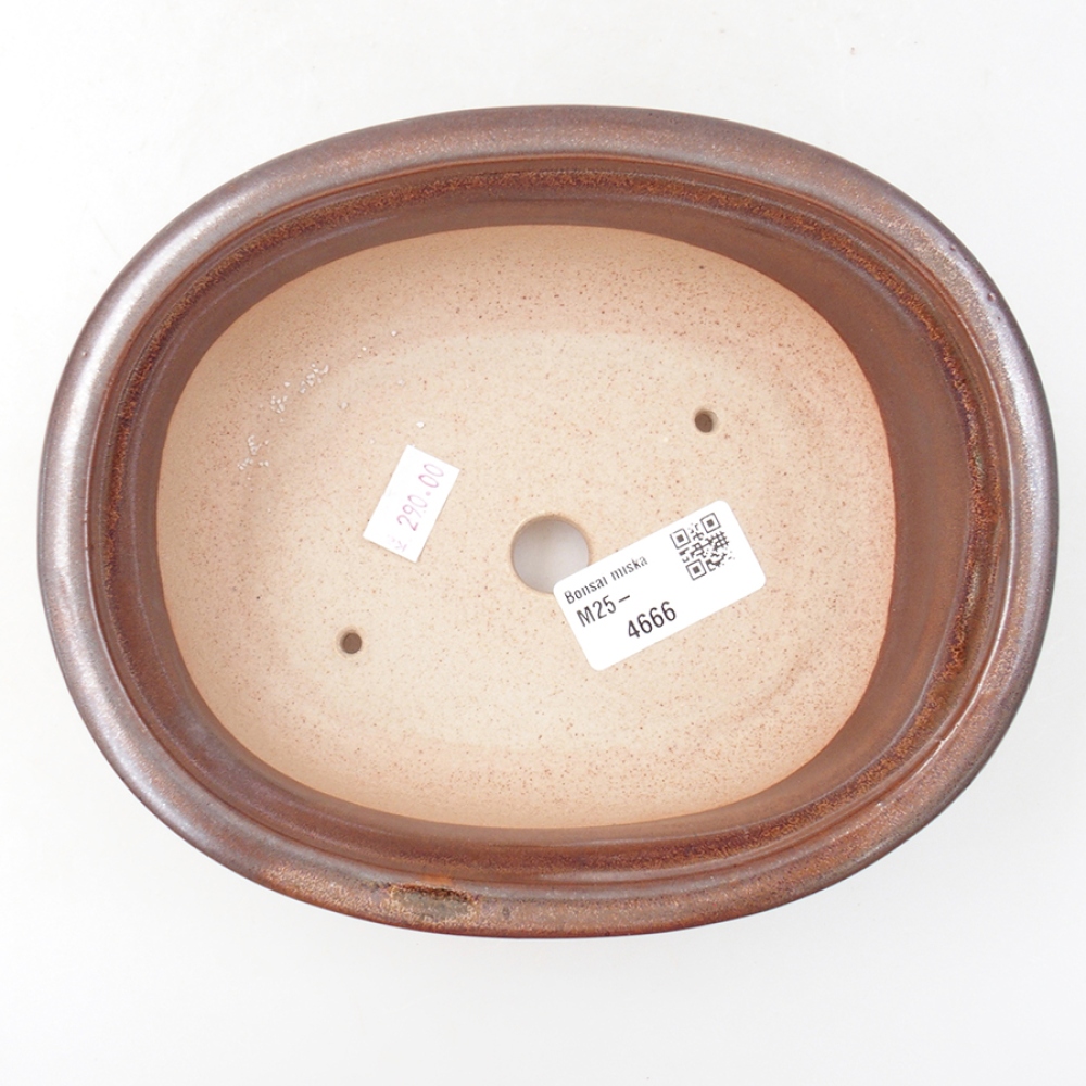 Ciotola per bonsai in ceramica 18 x 14,5 x 6 cm, marrone