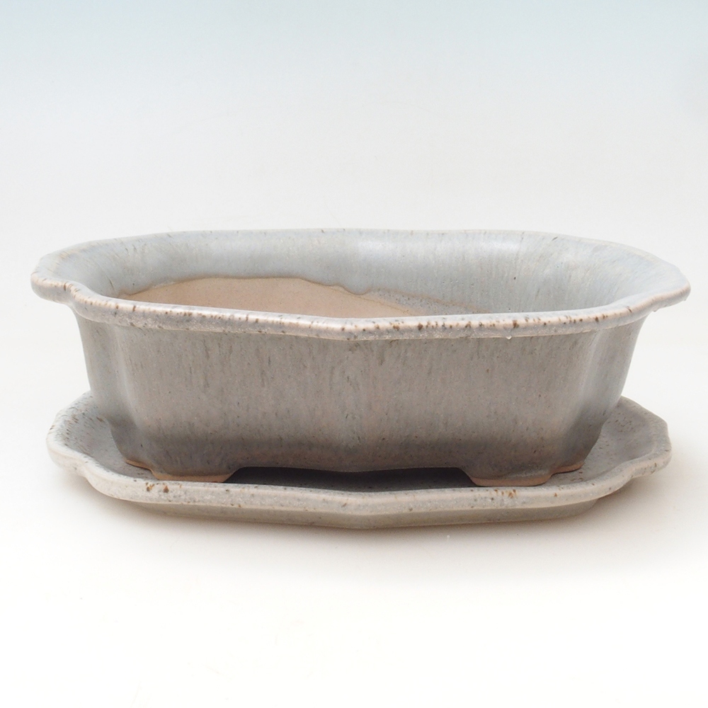 Ciotola bonsai + piattino H51 - 18x14x5 cm - beige