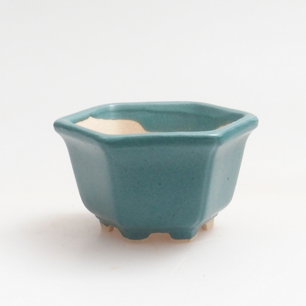 Ciotola bonsai in ceramica 6,5 x 5,5 x 4 cm, colore blu