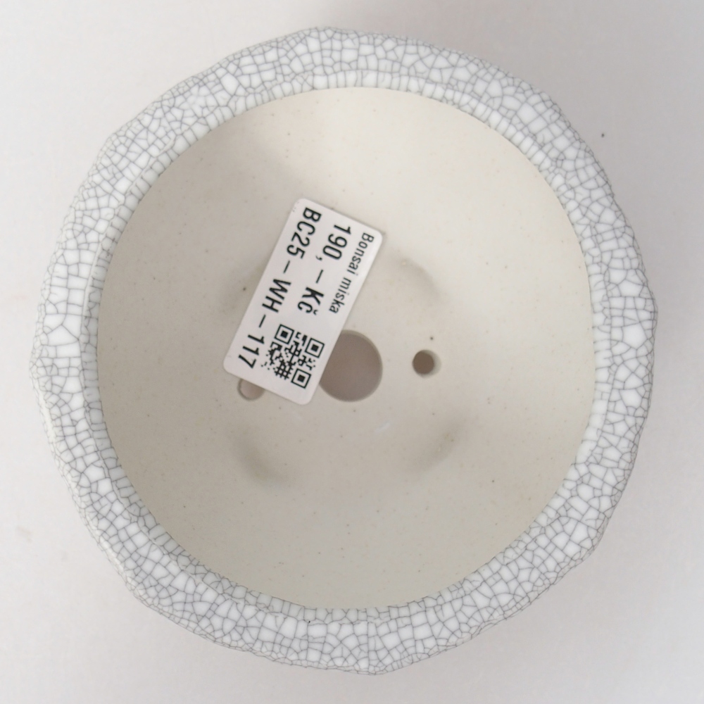 Ciotola bonsai in ceramica 11 x 11 x 5,5 cm, colore raku