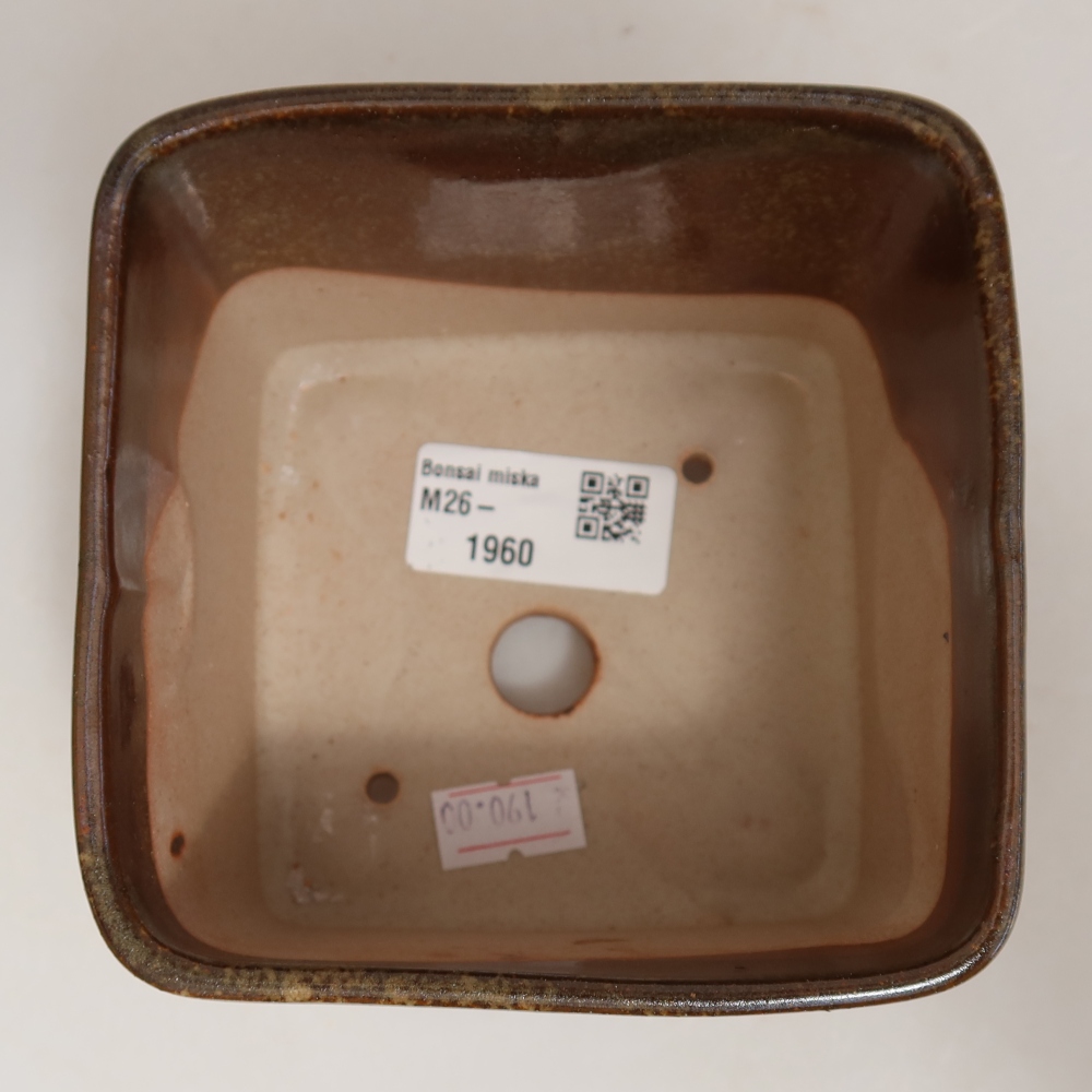 Vaso da bonsai in ceramica 10 x 10 x 8,5 cm, colore marrone