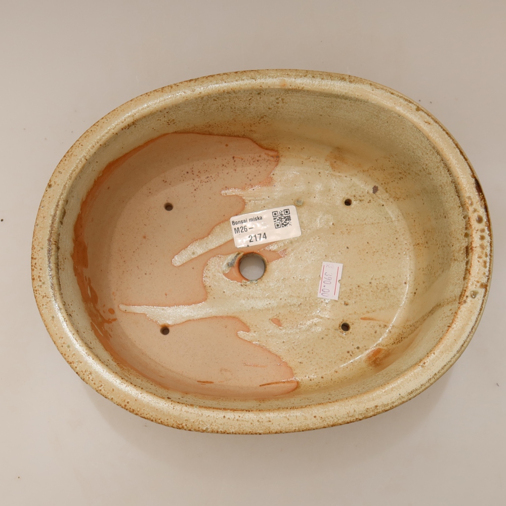 Vaso da bonsai in ceramica 23 x 19 x 8 cm, colore beige