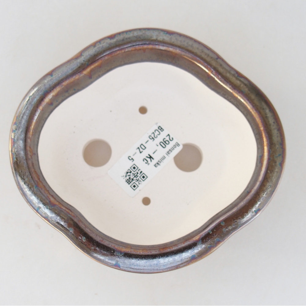 Ciotola bonsai in ceramica 13 x 12 x 5 cm, colore oro