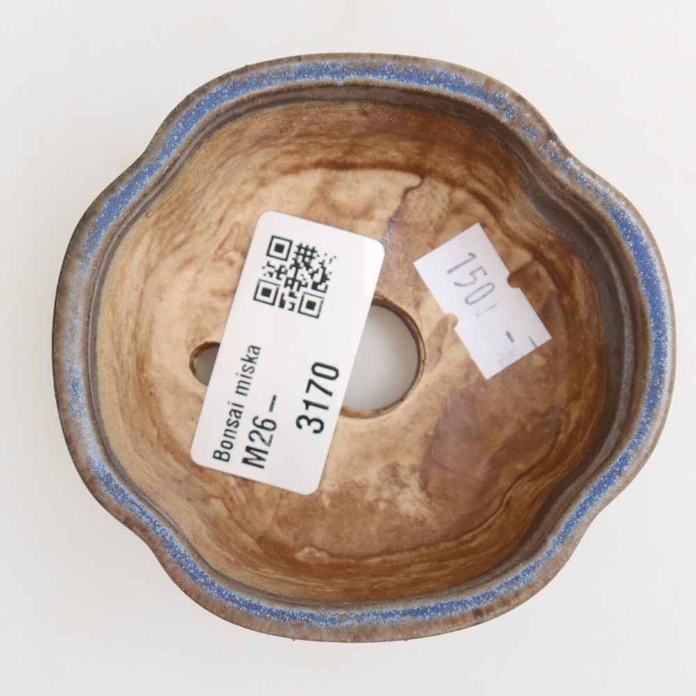 Vaso in ceramica per bonsai 8 x 7,5 x 3,5 cm, colore blu