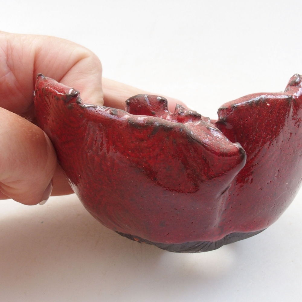 Conchiglia in ceramica 9 x 8 x 5 cm , colore rosso