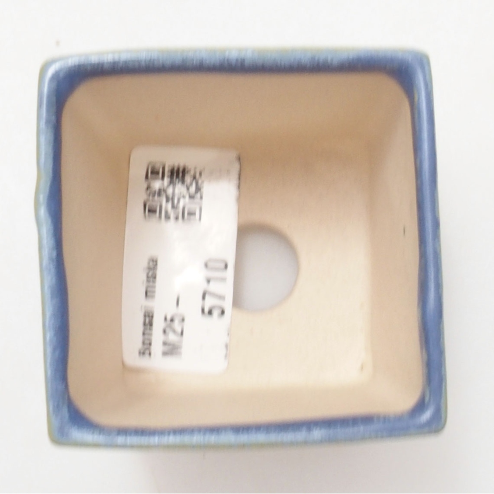 Mini bonsai 5,5 x 5,5 x 6,5 cm, colore blu