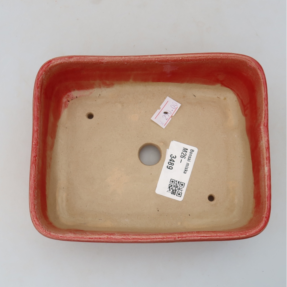Vaso da bonsai in ceramica 15 x 12,5 x 4,5 cm, colore rosso