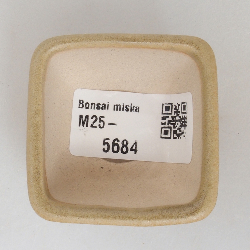 Ciotola per mini bonsai 4,5 x 4,5 x 3 cm, marrone