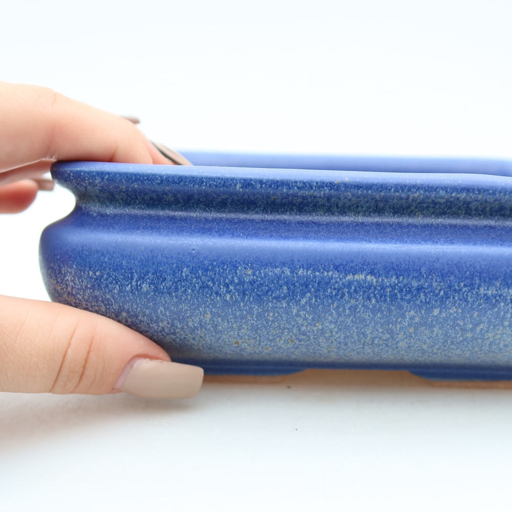 Vaso da bonsai in ceramica 15,5 x 15,5 x 6 cm, colore blu