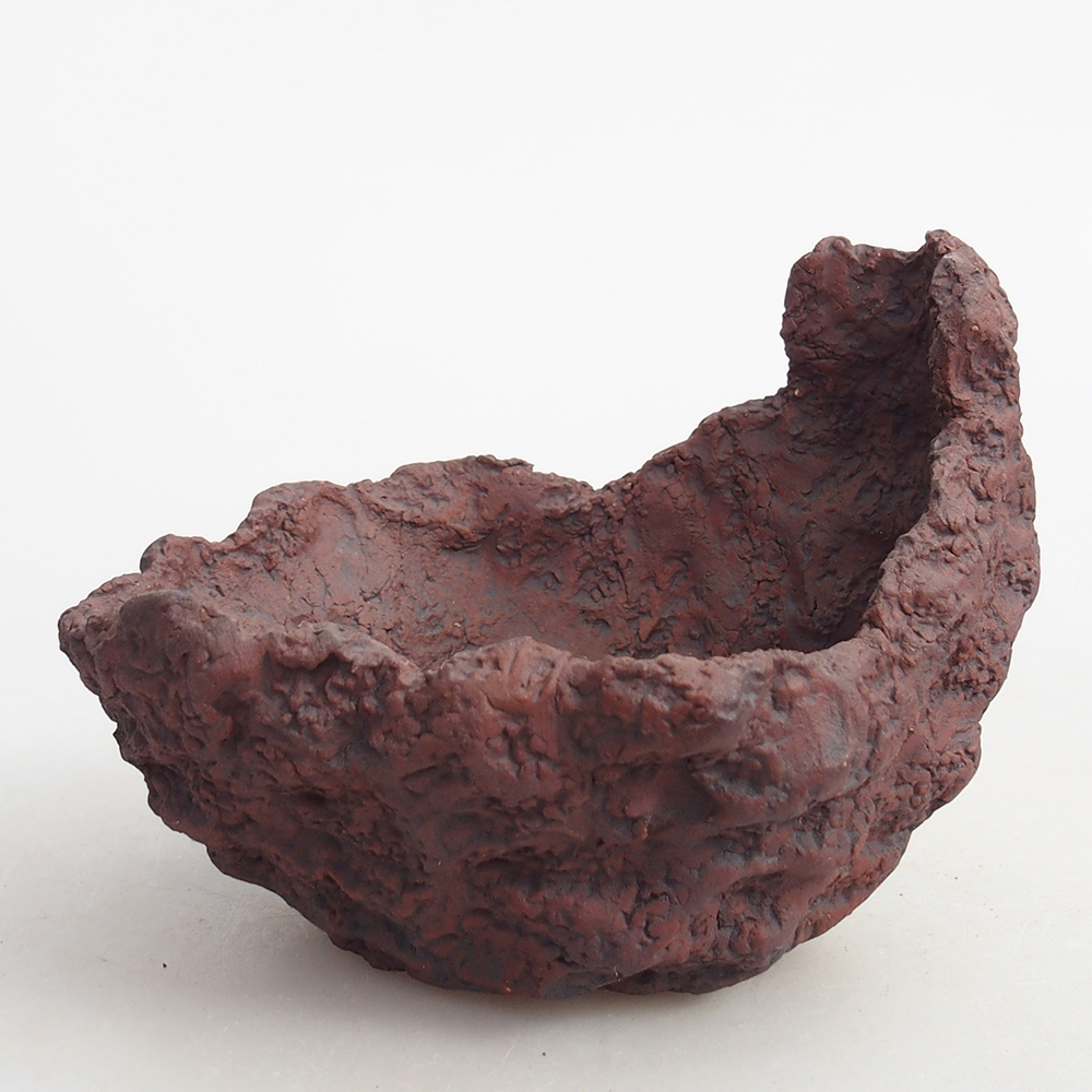 Conchiglia in ceramica 10 x 8 x 8,5 cm , colore marrone