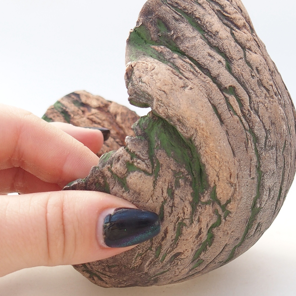 Conchiglia in ceramica 12 x 9,5 x 11 cm , colore verde