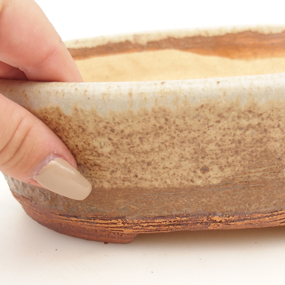Ciotola per bonsai 20 x 16 x 6,5 cm , colore beige