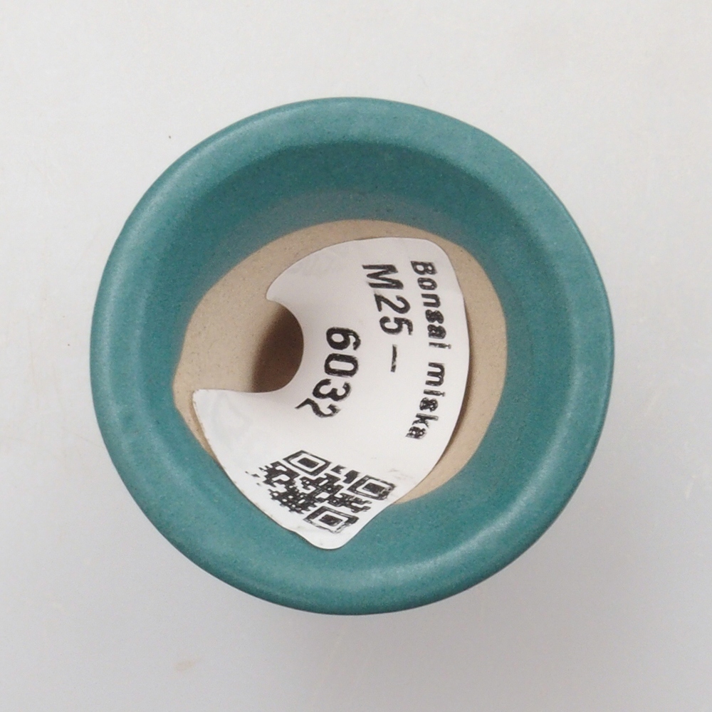 Ciotola bonsai in ceramica 6,5 x 5,5 x 4 cm, colore blu